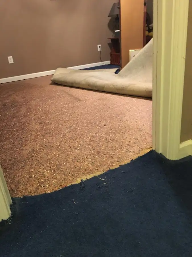 Carpet pad removal revealing water damage during Water Mitigation Services in Fremont