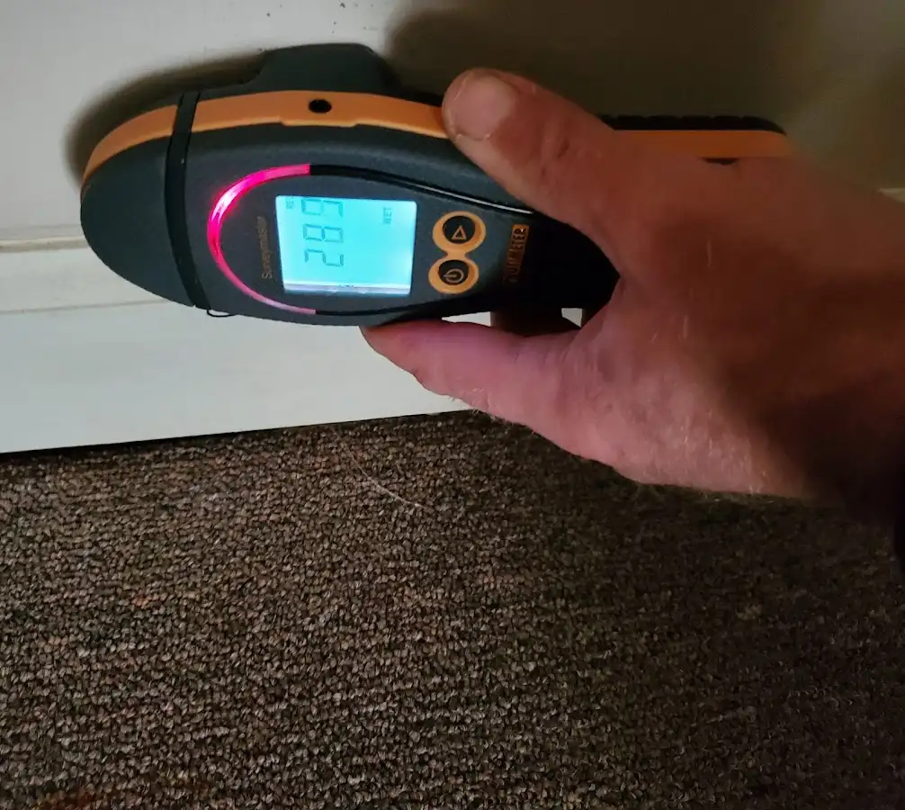 Moisture detection at baseboard during Sewage Cleanup & Sanitation in Fremont